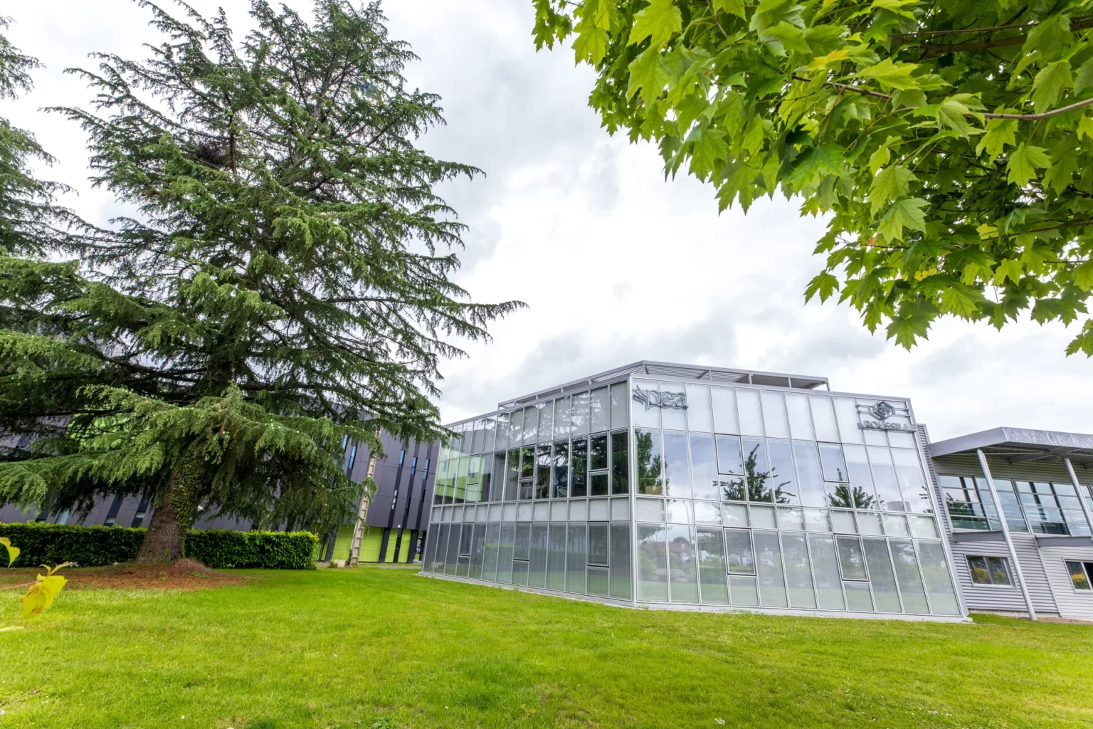 Les locaux de Roussille Assurances au centre d'affaires PEA à Pau
