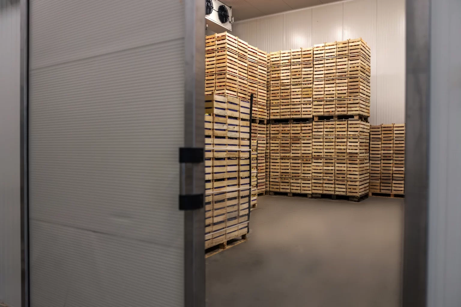 Caisses de fruits en chambre froide avant expédition